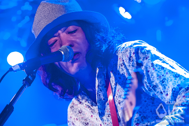 カーネーション-2